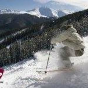 Meet your Posher, Beverly